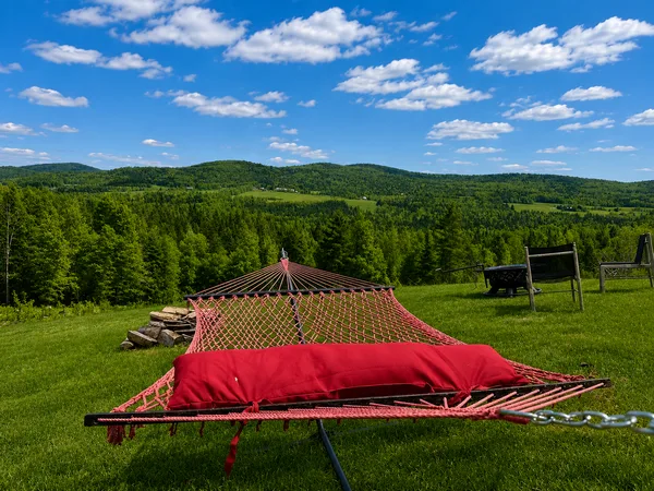 Meadow with hammock