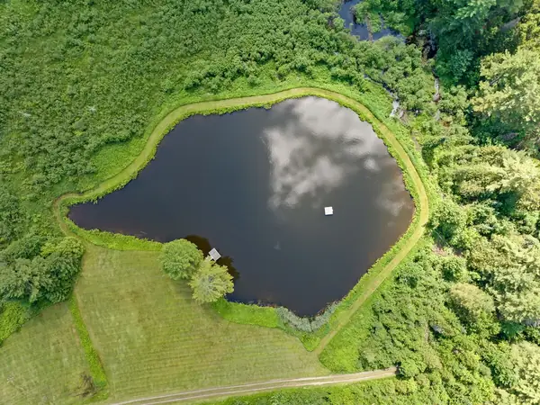 Aerial view of the pond and property