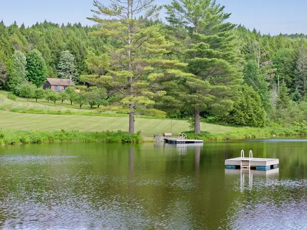 Pond and meadow in summer