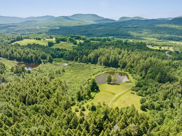 Aerial view of cabin and meadow