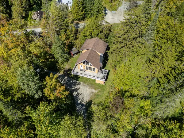 Aerial house in trees