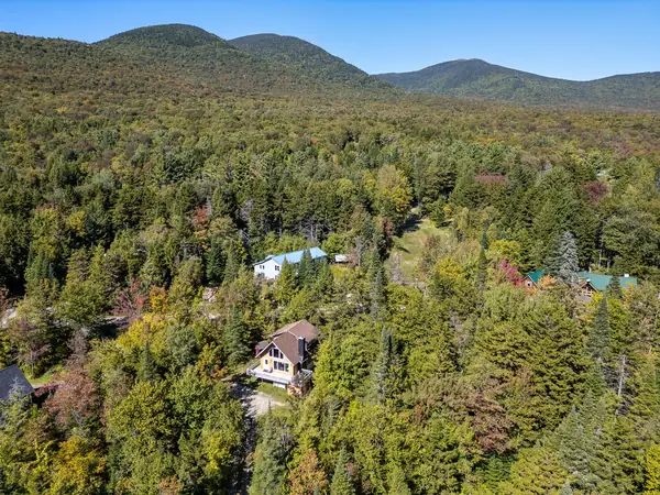 Aerial forest overview